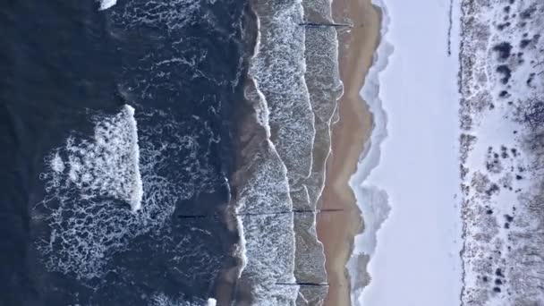 冬にバルト海で雪のビーチ。ポーランド観光. — ストック動画
