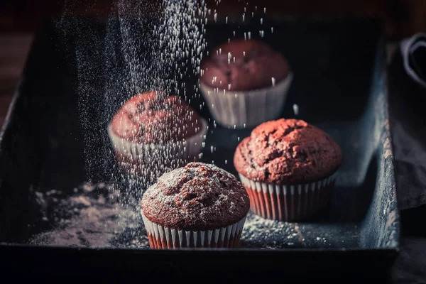 Falling Powdered Sugar Chocolate Muffin Old Baking Tray Chocolate Cupcake — Stock Photo, Image