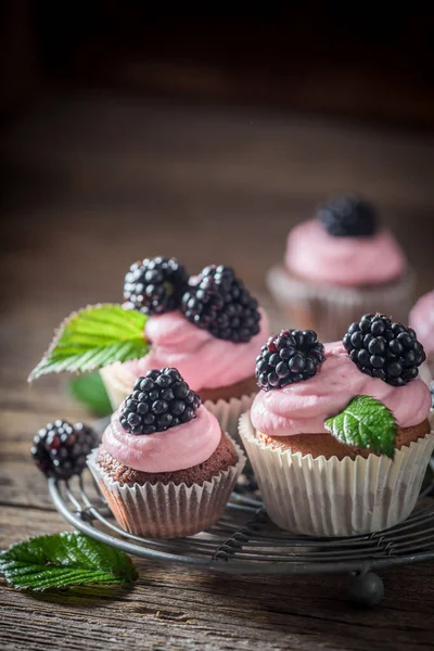 Sweet Blackberry Cupcake Pink Cream Fruits Chocolate Cupcake Sugar Homemade — Stock Photo, Image