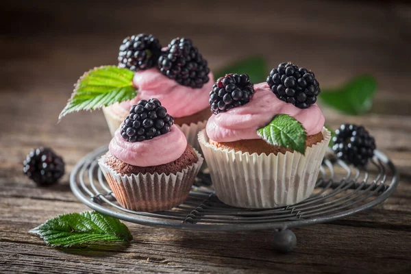 Delicious Homemade Blackberry Cupcake Cream Fruits Chocolate Cupcake Sugar — Stock Photo, Image