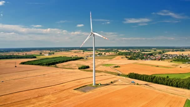 Turbina eólica en el campo. Combinar durante la cosecha. Energías alternativas, Polonia — Vídeo de stock