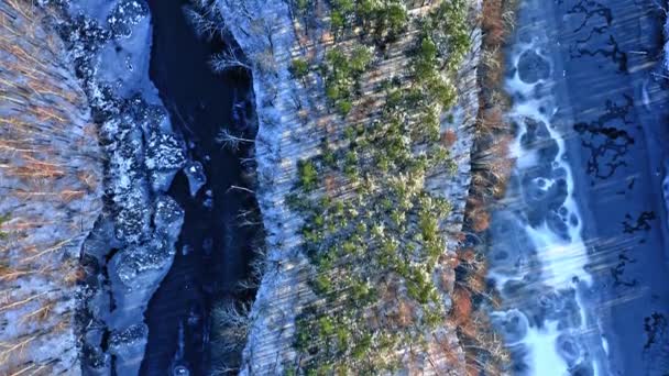 Inverno congelado rio e floresta. Vista aérea da vida selvagem, Polónia — Vídeo de Stock