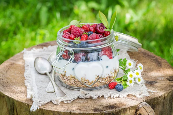 Muesli Sano Con Bacche Yogurt Cibo Sano Forma — Foto Stock
