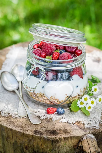 Dieta Saborosa Saudável Granola Com Frutos Silvestres Iogurte — Fotografia de Stock