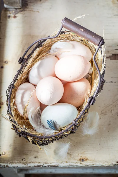 Vol Vitaminen Ecologische Eieren Uit Het Kippenhok Eieren Van Een — Stockfoto