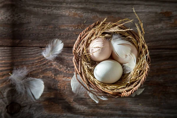 Bovenaanzicht Van Scharreleieren Kippenveren Eieren Van Een Scharrelkwekerij — Stockfoto