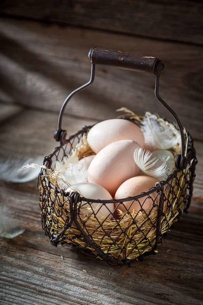 Verse Scharreleieren Mand Eieren Met Vrije Uitloop — Stockfoto