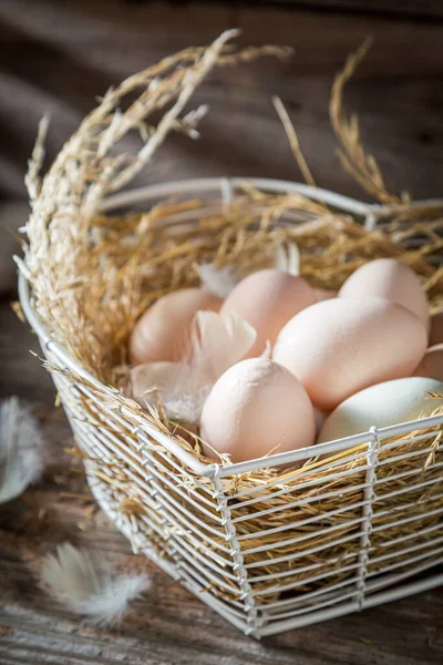 Encantan Los Huevos Granja Huevos Ecológicos Criadero Libre — Foto de Stock