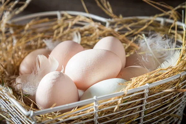 Tüylü Ekolojik Yumurtalar Serbest Aralıktaki Yumurtalar — Stok fotoğraf