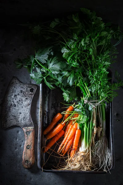 Здоровые Овощи Супа Подготовка Приготовлению Овощей Гриле Выпечке — стоковое фото