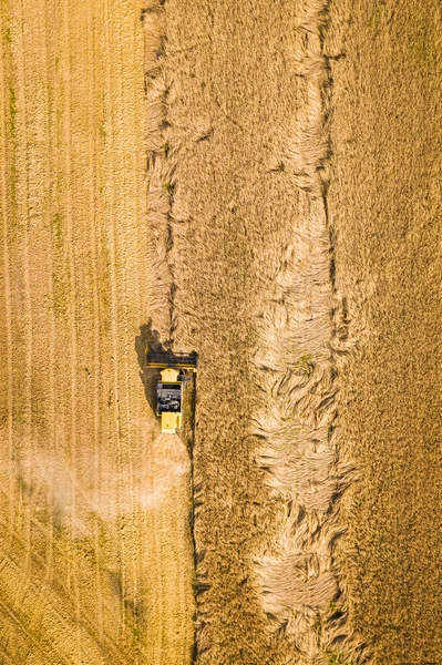 Combineer Het Oogstveld Landbouw Zomer Polen Luchtfoto Van Natuur — Stockfoto