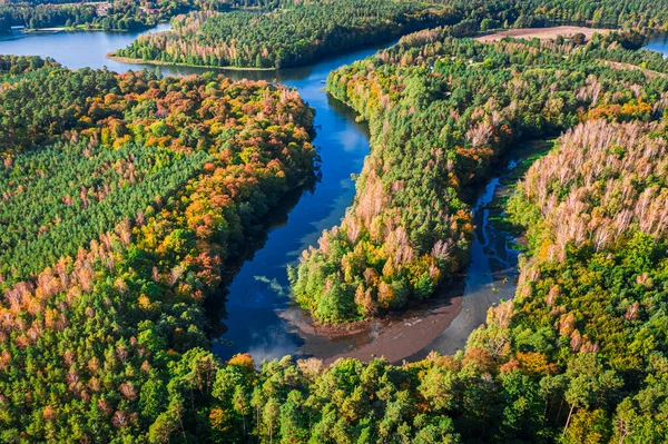 Floresta Outono Rio Sinuoso Vista Aérea Vida Selvagem Natureza Polónia — Fotografia de Stock