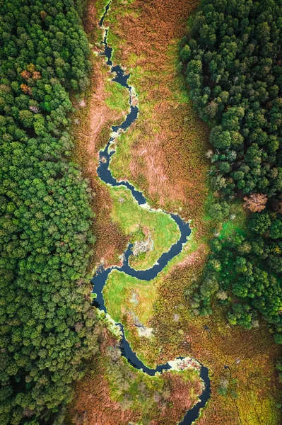 Pantanos Río Otoño Polonia Vista Aérea Vida Silvestre —  Fotos de Stock