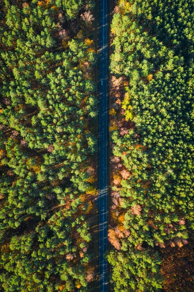 Μαύρος Δρόμος Και Φθινοπωρινό Δάσος Αεροφωτογραφία Της Φύσης Στην Πολωνία — Φωτογραφία Αρχείου