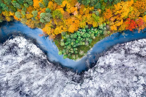 Inverno Autunno Unico Luogo Foresta Innevata Colorata Inverno Sta Arrivando — Foto Stock