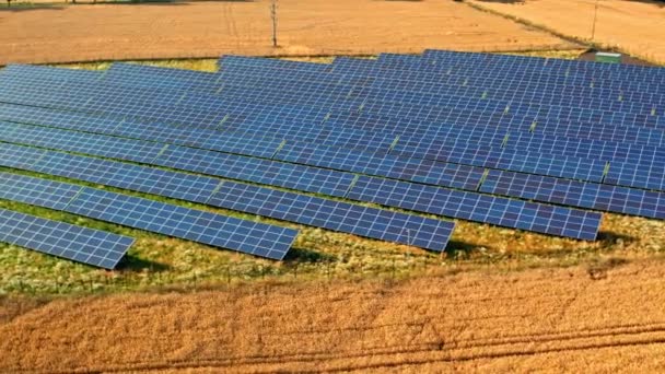 Paneles solares en el campo. Vista aérea de la granja fotovoltaica. — Vídeos de Stock