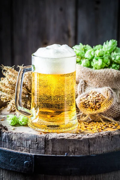 Una Pinta Cerveza Ligera Espuma Grande Industria Cervecera Cerveza Ligera — Foto de Stock