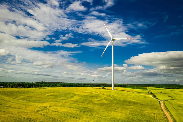 Вітряні Турбіни Зеленому Полі Альтернативна Енергія Польщі Зелена Енергія Європі — стокове фото