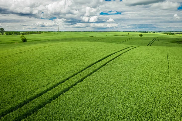 Zielone Pole Wiosną Widok Powietrza Rolnictwo Polsce Natura Polsce — Zdjęcie stockowe