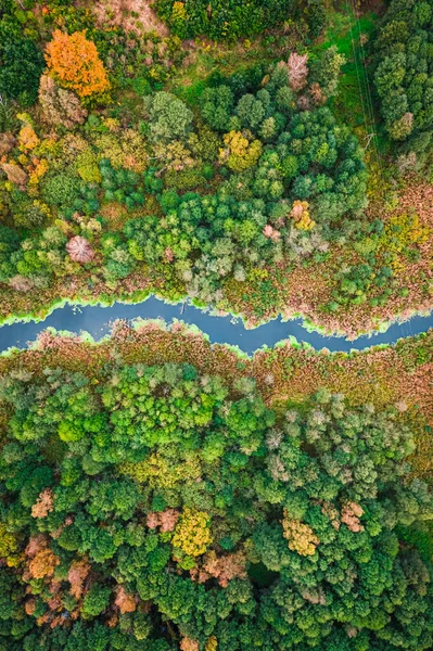 Rzeka Brązowe Bagna Widok Lotu Ptaka Dziką Przyrodę Jesienią Natura — Zdjęcie stockowe