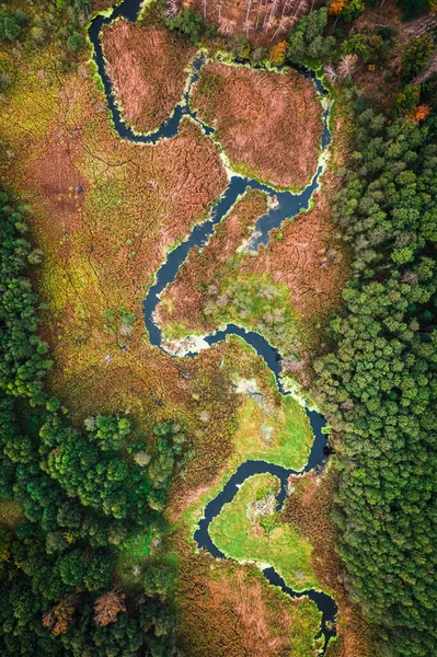 Flod Och Myrmark Hösten Flygfoto Över Vilda Djur Polen Naturen — Stockfoto