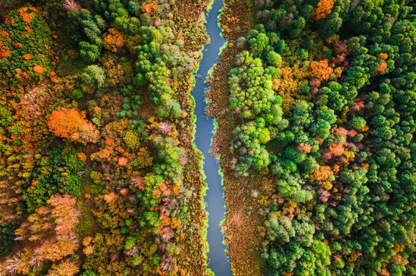 Liten Flod Och Färgglada Myrar Flygfoto Över Vilda Djur Polen — Stockfoto