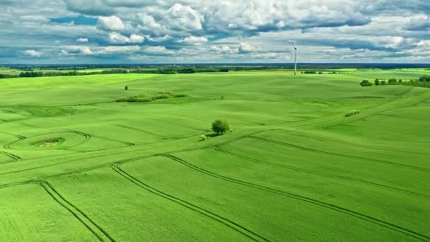 Grönt fält på våren. Flygfoto av jordbruket i Polen. — Stockvideo