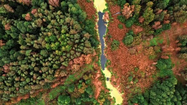 Pântano castanho e rio. Vista aérea sobre a vida selvagem no outono. — Vídeo de Stock