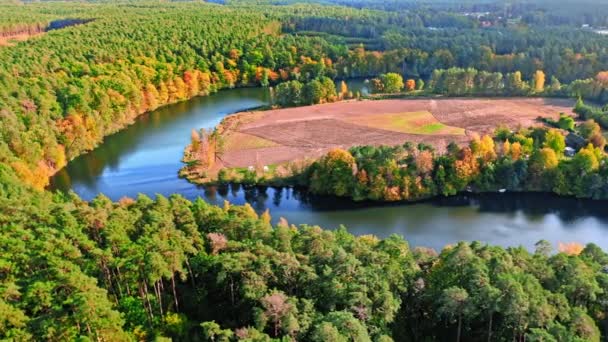 Luftaufnahme der Tierwelt in Polen. Kurviger Fluss im Herbst. — Stockvideo