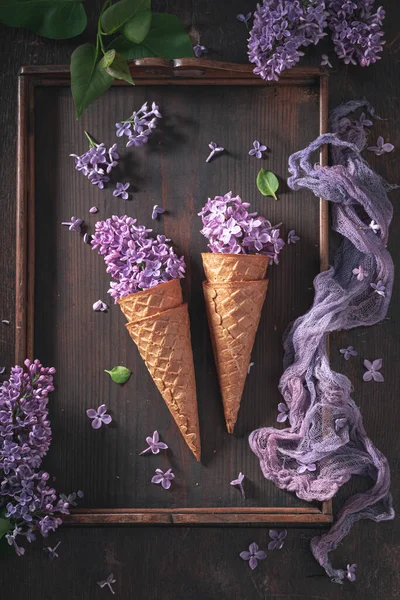 Gorgeous Lilac Flowers Wafer Cone Floral Concept Summer Beautiful Background — Stock Photo, Image