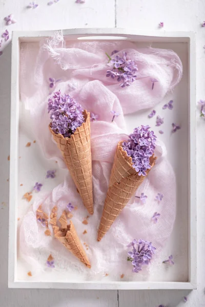 Beautiful Lilac Flowers Wafer Cone Concept Gift Card Beautiful Background — Stock Photo, Image