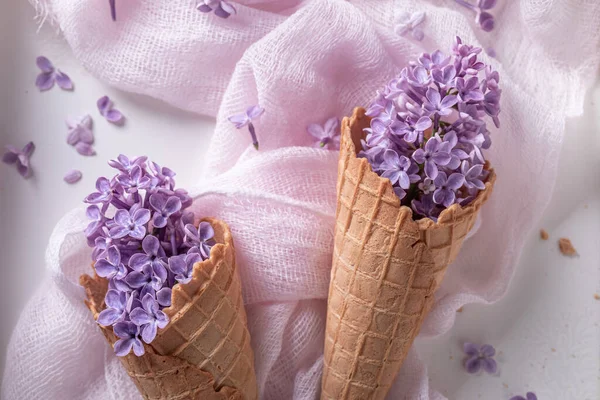 Beautiful Lilac Flowers Wafer Cone Summer Flower Composition Beautiful Background — Stock Photo, Image