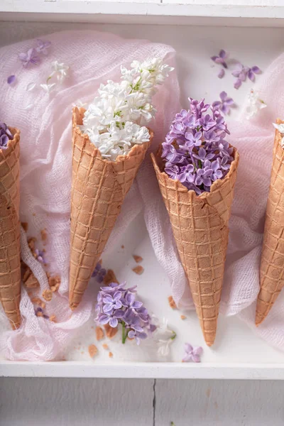 ライラックの花の特別なアイスクリーム 創造的な花の組成 ギフトカードの美しい背景 — ストック写真