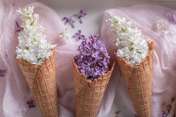 Veilcheneis Aus Fliederblüten Einzigartige Blumenarrangements Schöner Hintergrund Für Eine Geschenkkarte — Stockfoto