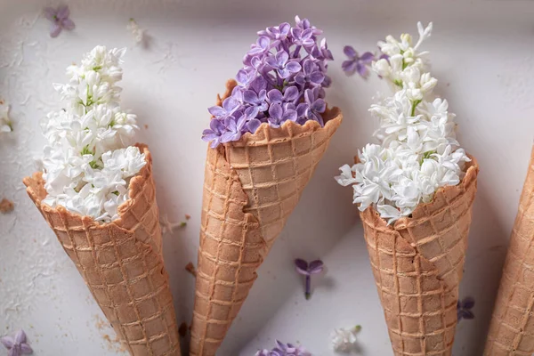 Lovely Lilac Flowers Wafer Cone Summer Flower Composition Beautiful Background — Stock Photo, Image