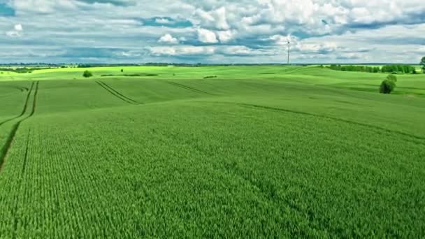 Jordbruk i Polen. Fält på våren. Flygfoto av naturen. — Stockvideo