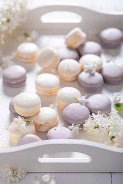 Beaux Macarons Lilas Aromatisés Concept Dessert Pour Été Beau Fond — Photo
