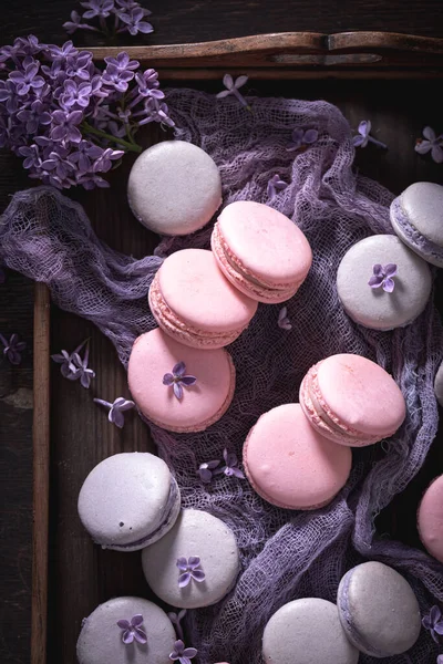 Magnifiques Macarons Lilas Violets Des Compositions Créatives Desserts Beau Fond — Photo