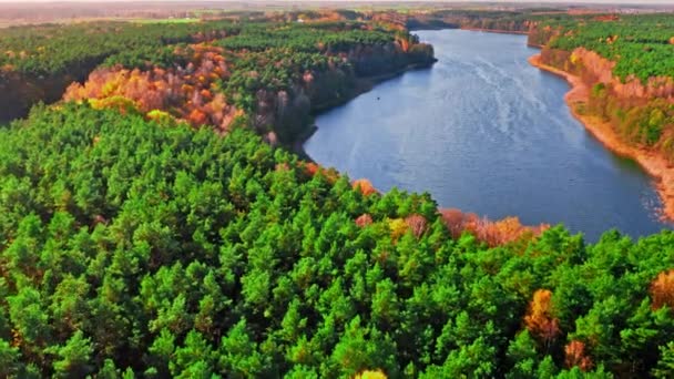 Осенний лес и большое озеро. Вид с воздуха на дикую природу, Польша — стоковое видео