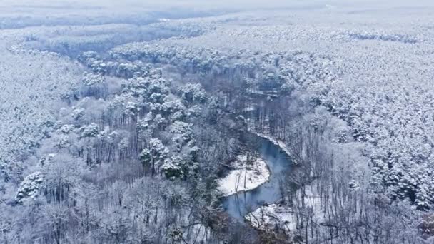 Vinterflod och snöig skog. Flygfoto över vilda djur, Polen. — Stockvideo