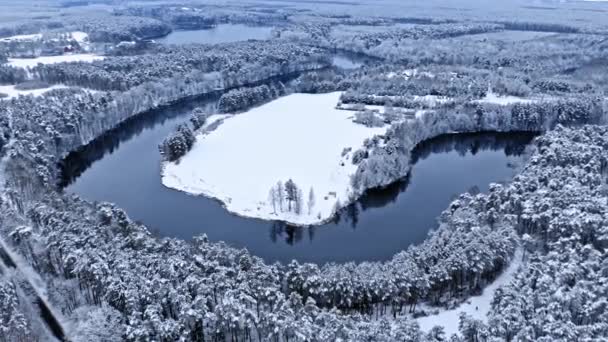 Kurvig flod och frusen skog. Flygfoto över naturen, Polen. — Stockvideo