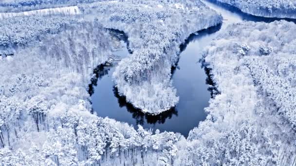 Flod och snöig skog. Flygfoto över vilda djur, Polen. — Stockvideo