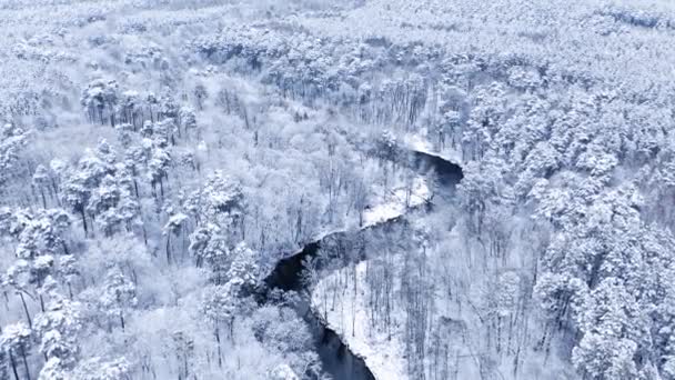 Frusen skog och vinter kurvig flod. Flygfoto över Polen. — Stockvideo