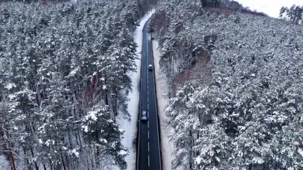 Vervoer in de winter. Asfaltweg die door het besneeuwde bos loopt. — Stockvideo