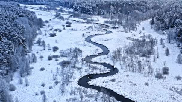 Râul de iarnă şi pădurea înzăpezită. Vedere aeriană a faunei sălbatice de iarnă — Videoclip de stoc