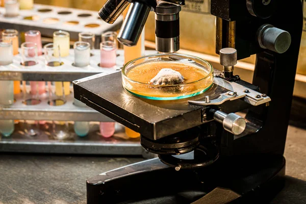 Primer Plano Del Microscopio Laboratorio Químico Con Muestras Clases Prácticas — Foto de Stock