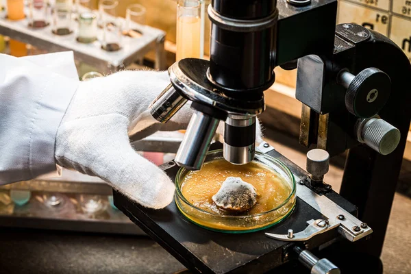 Chemical Laboratory Mold Test Practical Chemistry Classes — Stockfoto