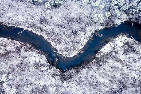 Χειμερινό Ποτάμι Και Χιονισμένο Δάσος Αεροφωτογραφία Του Χειμώνα Στην Πολωνία — Φωτογραφία Αρχείου