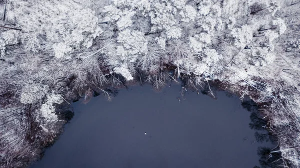 Verschneiter Wald Und Teich Winter Luftaufnahme Der Natur Winter Polen — Stockfoto