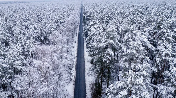 漫长的黑色道路和白雪覆盖的森林 在冬天旅行 波兰的空中自然景观 — 图库照片